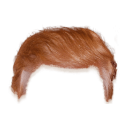 Trump your hair Icon