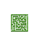 Maze Eacape