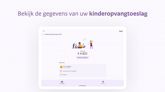 Toeslagen screenshot 13