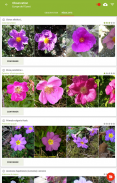 PlantNet Identification Plante screenshot 6