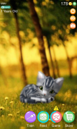 AR Cat screenshot 1