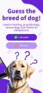 Dog Breed: Dogs games cute pet screenshot 6