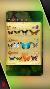 NETFLIX Flutter Butterflies screenshot 9