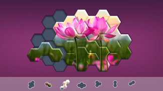 Hexágonos Hexa Jigsaw Puzzle™ screenshot 15