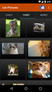 Cat wallpapers and funny pics screenshot 2