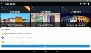 Croatian Language Tests screenshot 11