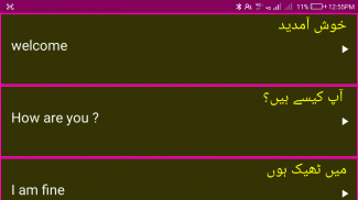 Learn English From Urdu screenshot 6