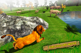 Angry Lion Family Simulator: Animal Adventure Game screenshot 17