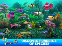 Fish Tycoon 2 Virtual Aquarium (Unreleased) screenshot 1