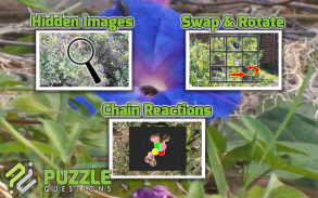 Free Wild Flowers Puzzle Games screenshot 3