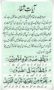 Ayat e Shifa screenshot 0