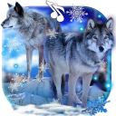 Invierno Lobos Fondos Pantalla Animadosdos Icon