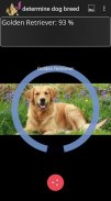 Determine Dog Breed screenshot 2