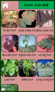 Tomato Kannada screenshot 2