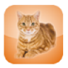 Cat Screen Cleaner Icon