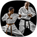 Karate Training Guide