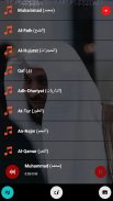 قرأن كامل ماهرالمعيقلي بدون نت screenshot 7