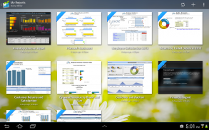 IBM Cognos Analytics Reports screenshot 2