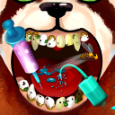 Become An Animal Dentist