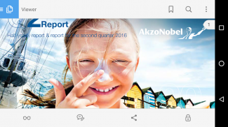 AkzoNobel Reports screenshot 5