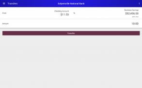 Salyersville National Bank screenshot 8