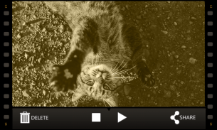 Rotate Video FX screenshot 3