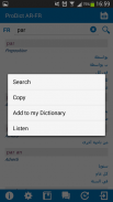 French - Arabic dictionary screenshot 2