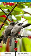 Live Wallpapers - Love Birds screenshot 5