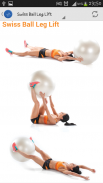 Stability Ball Exercises screenshot 3