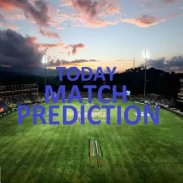 T20 Match Prediction 2020 (Indian Cricket League) screenshot 0