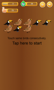Touch Same Birds-consecutively screenshot 1