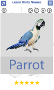 تعليم أسماء الطيور باللغة الان screenshot 0