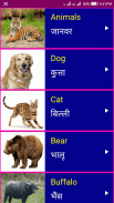 Learn English From Hindi screenshot 10