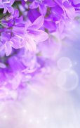 Lilac Flowers Live Wallpaper screenshot 6