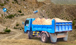 Bangali Truck Driving Truck 3D screenshot 2