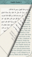 Hadith Qudsi Arabic & English screenshot 4