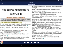 Catholic Study Bible App screenshot 8