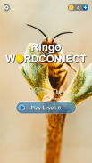 Ringo Word Connect Crossword screenshot 3