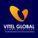 Vitelglobal Icon
