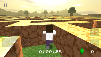 Pixel Labyrinth screenshot 5