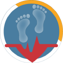 Pedometer and Health Watcher Icon