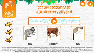 Macacadas screenshot 0