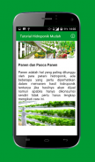 Tutorial Hidroponik Mudah screenshot 7