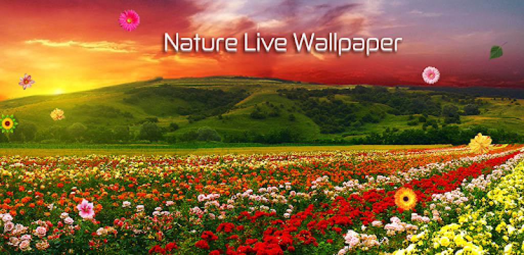 nature live wallpaper,natural landscape,nature,body of  water,vegetation,tropics (#144688) - WallpaperUse