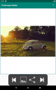 Volkswagen Beetle screenshot 10