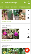 PlantNet पौधों की पहचान screenshot 2