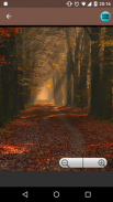 Autumn wallpapers collections screenshot 1