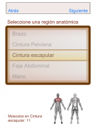 Atlas Músculo-esquelético screenshot 6