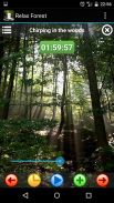 放宽森林 - 大自然的声音 screenshot 2
