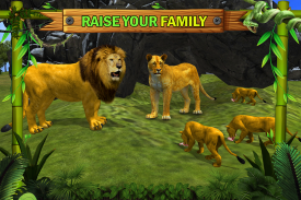 Jungle Lion Kingdom Lion Family screenshot 0